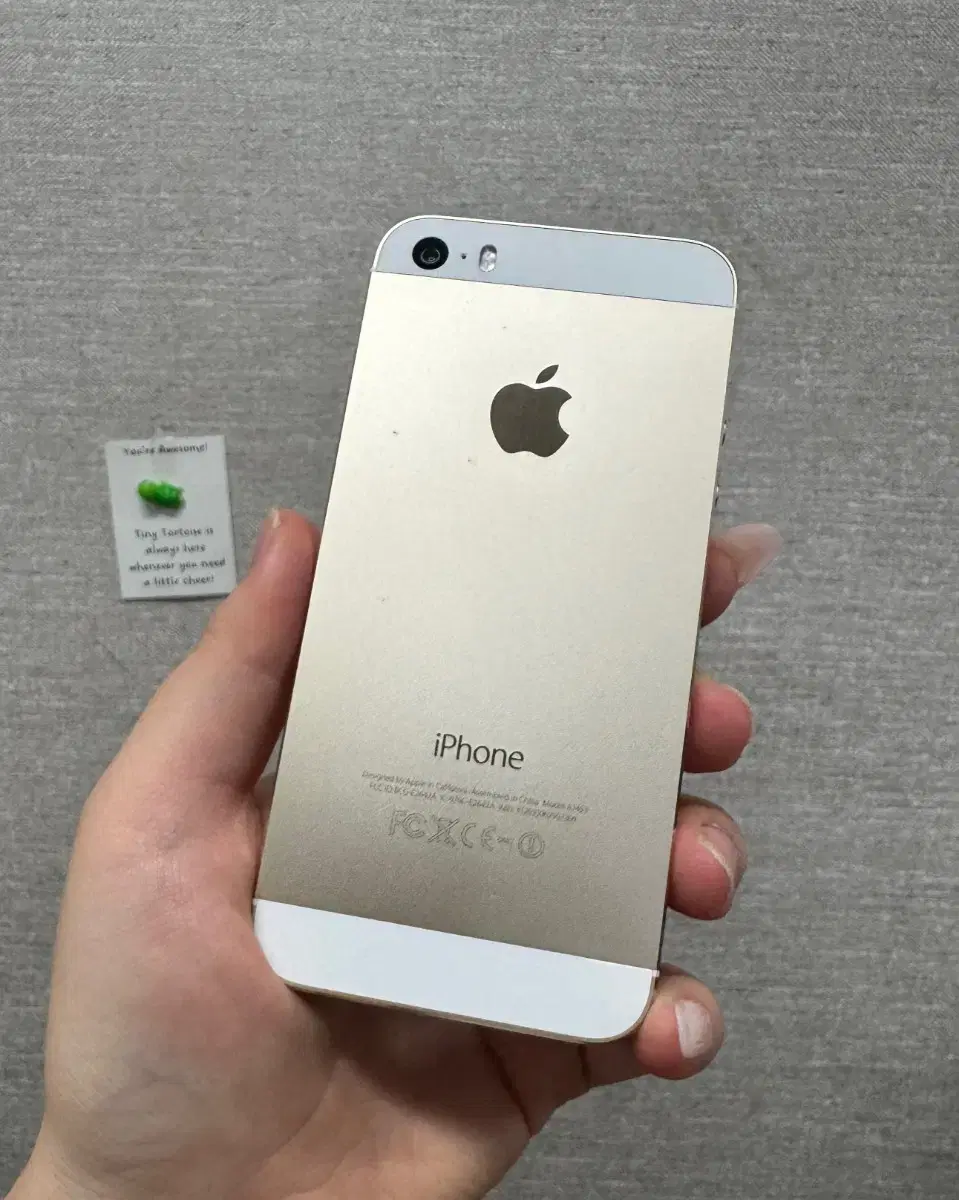 thumbnail-3